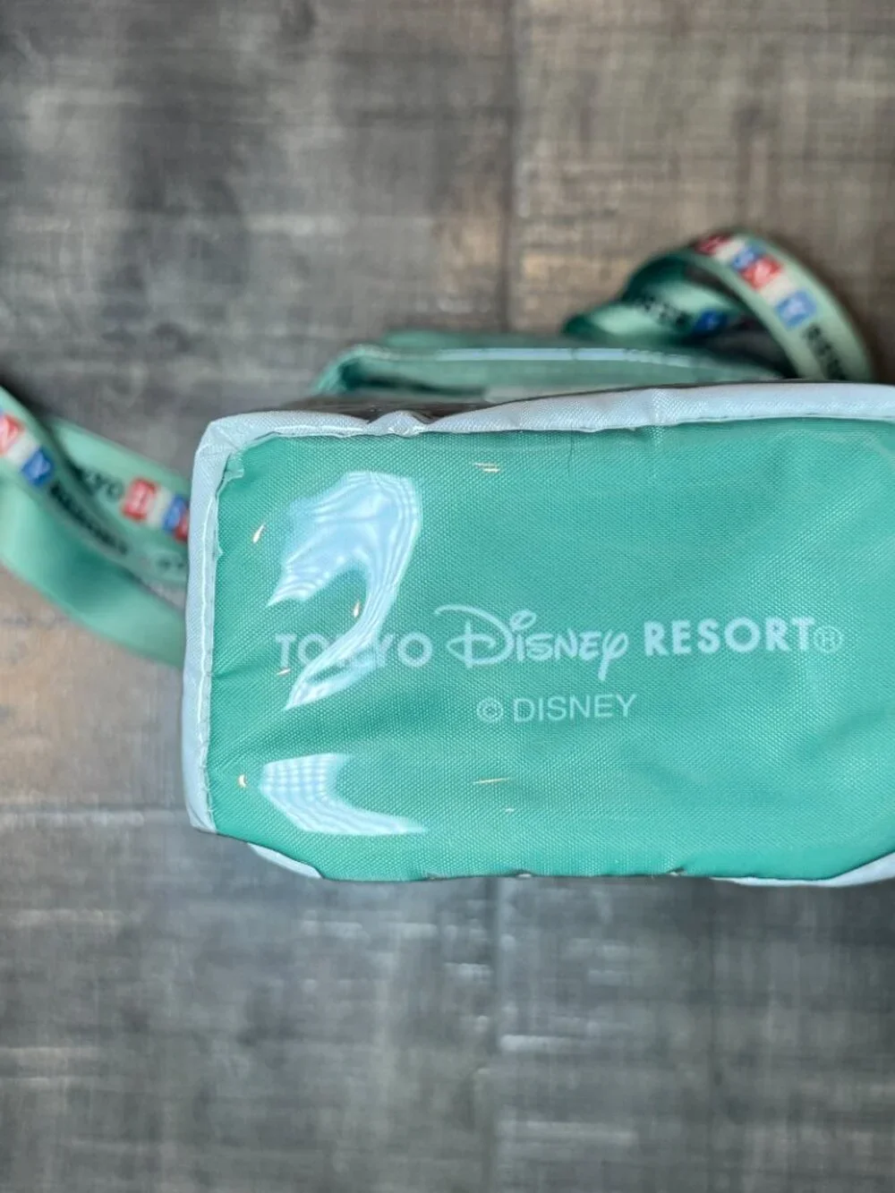 Tokyo Disneyland Resort Retro Popcorn Case Shoulder Bag My Pals